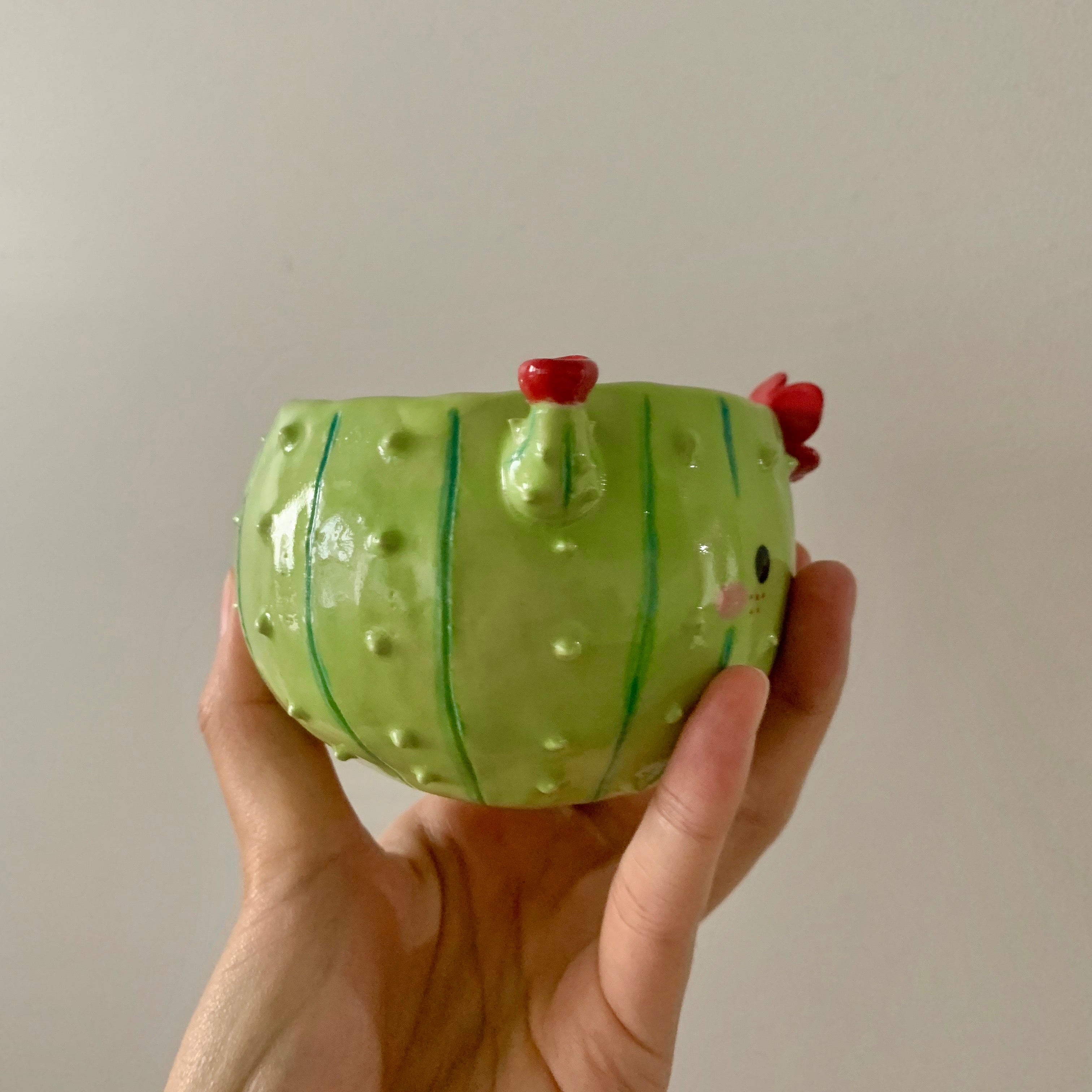 Flowery cactus pot