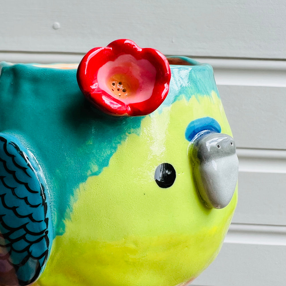 Orange Bellied parrot pot, photo 5 of 11