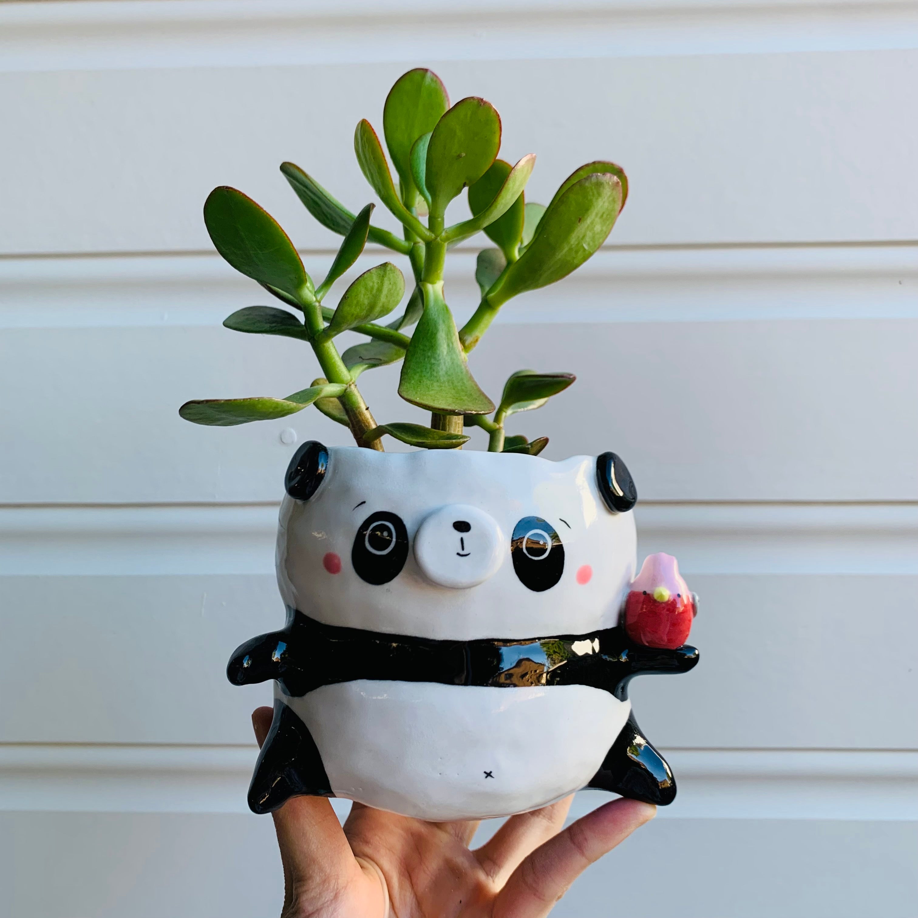 Peanut Panda with Pink Galah Friend pot