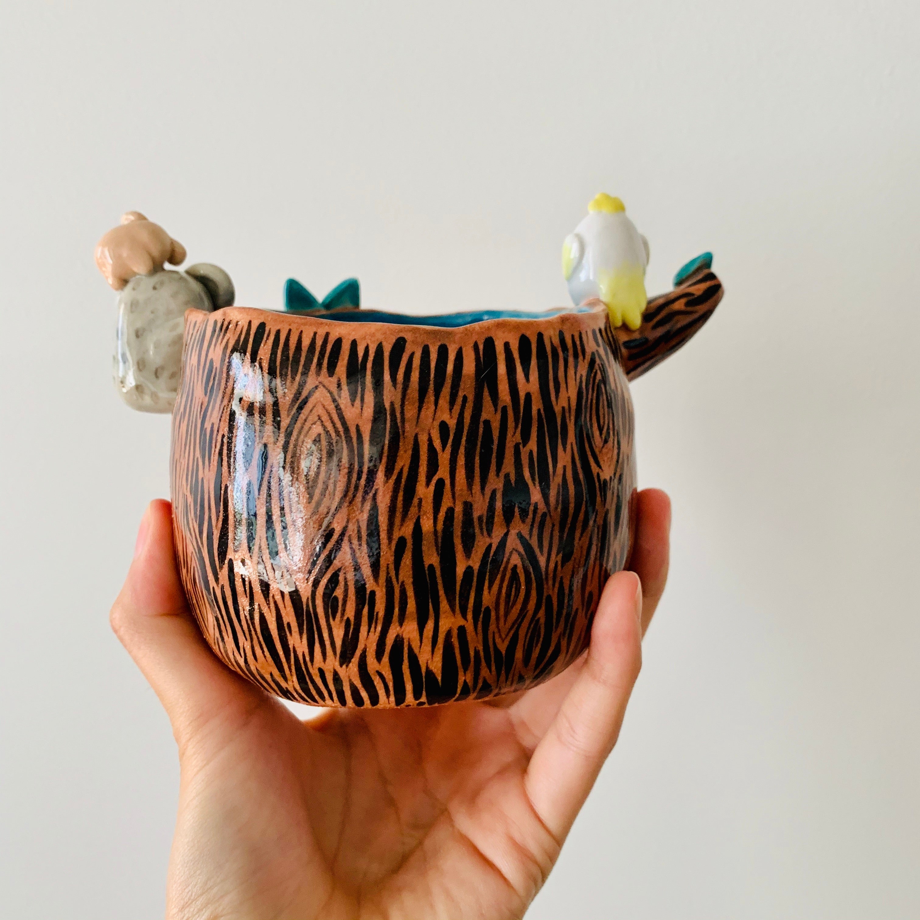 ‘Aussie Hope’ pot