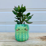 Peanut shape cactus pot planter