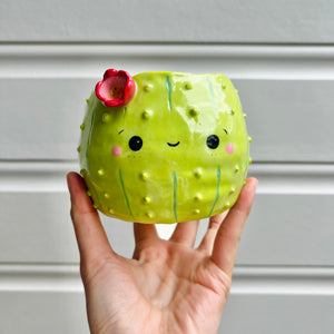 Flowery cactus pot