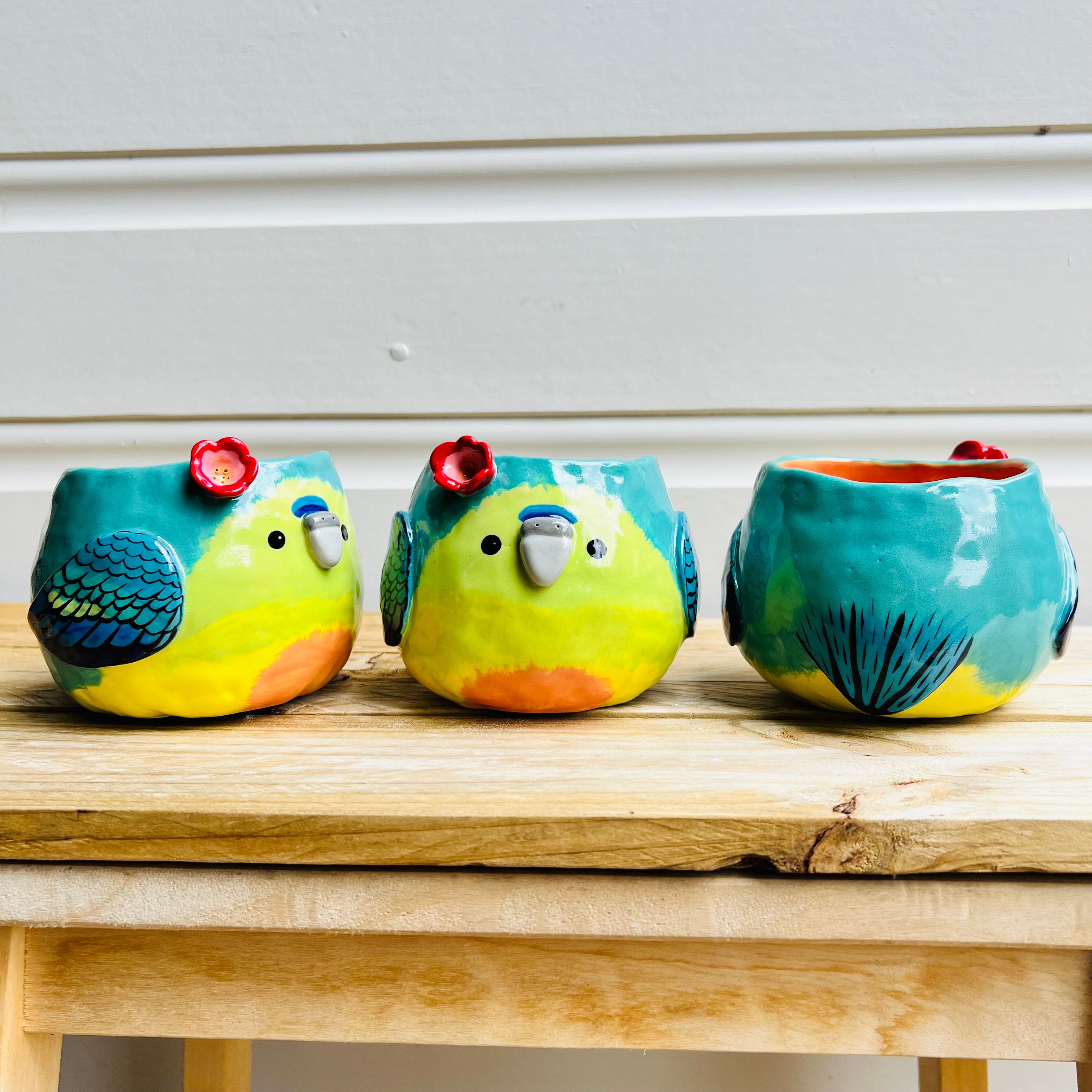 Orange Bellied Parrot pot