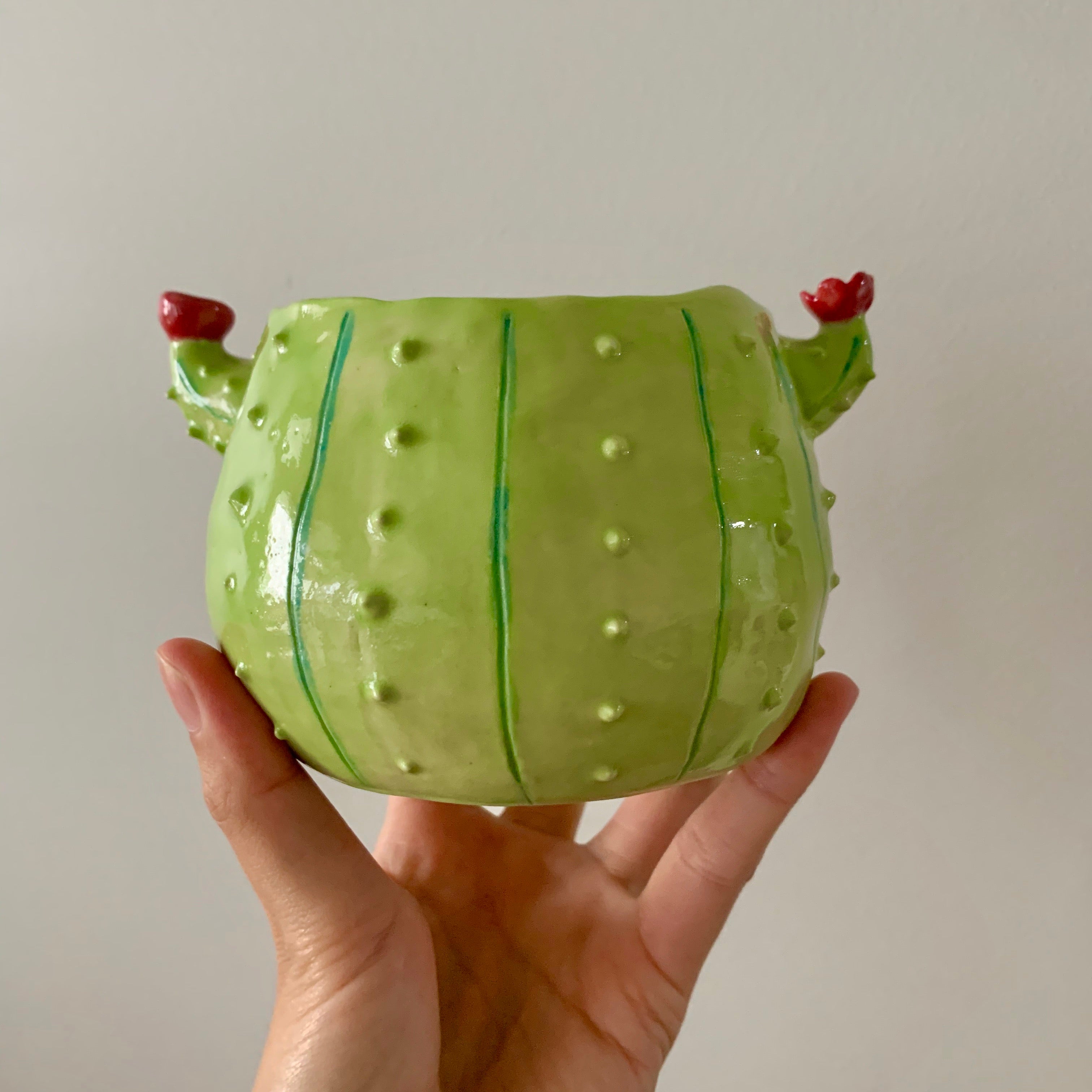 Flowery cactus pot with pig friends