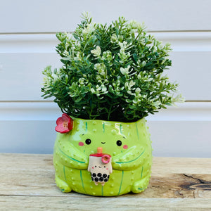 Light green flowery cactus with bubble tea planter