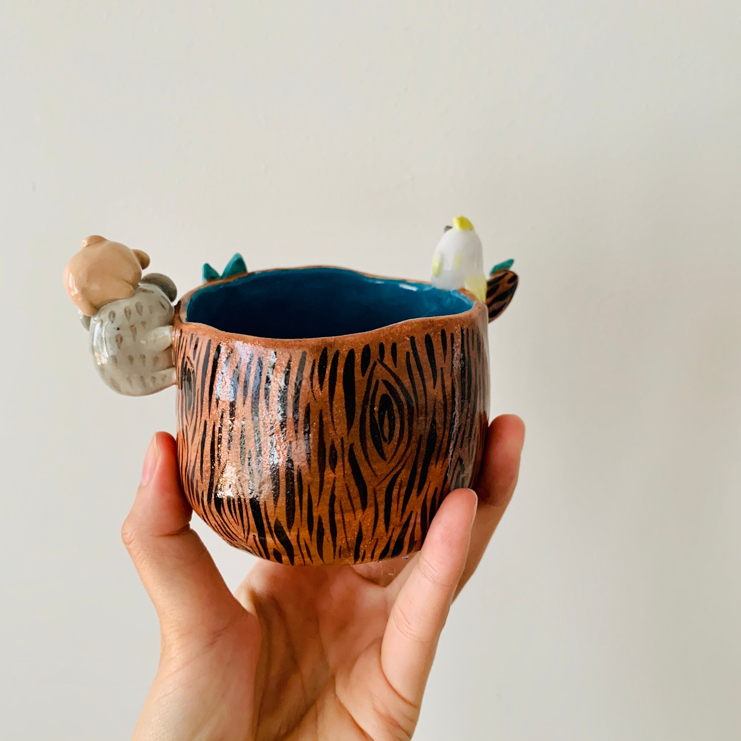 ‘Aussie Hope’ pot