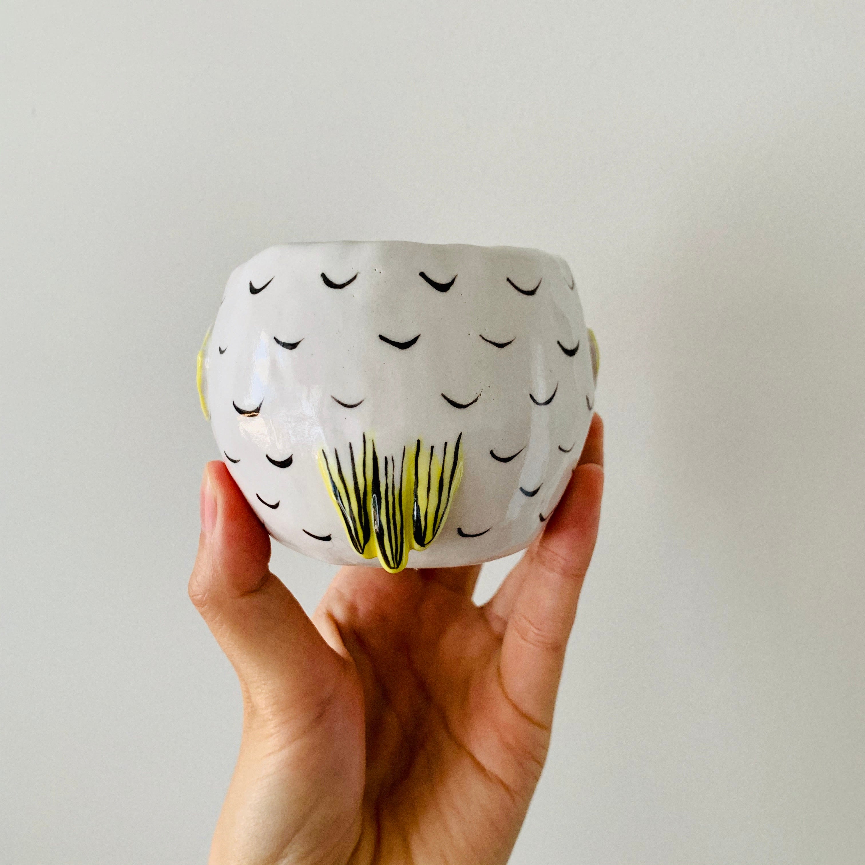 Cockatoo with koala friend pot
