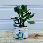 Small lamb planter with starfish friend planter