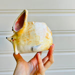 Fennec fox pot