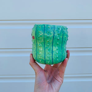 Peanut shape cactus pot planter