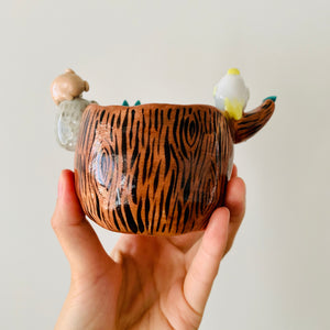 ‘Aussie Hope’ pot
