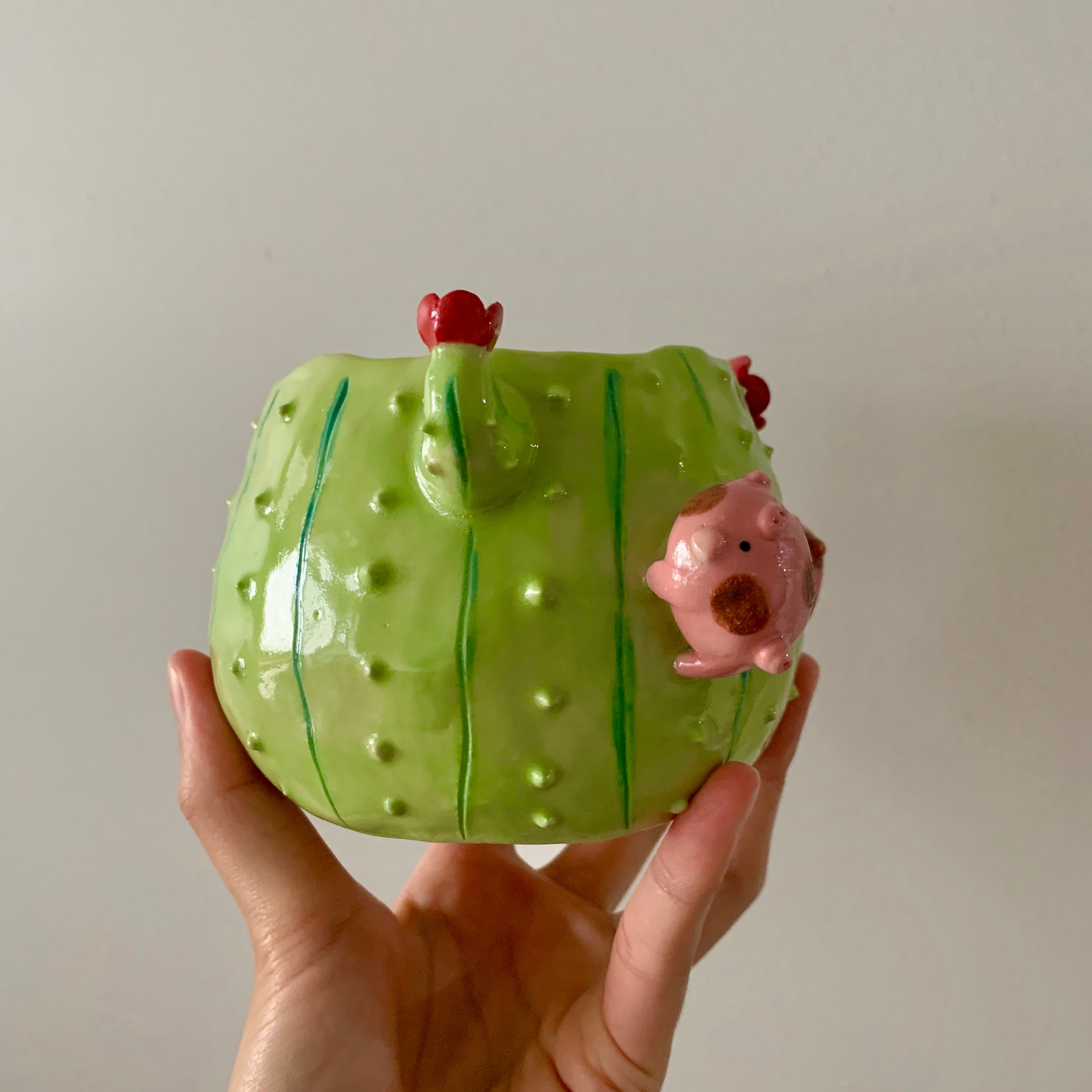 Flowery cactus pot with pig friends