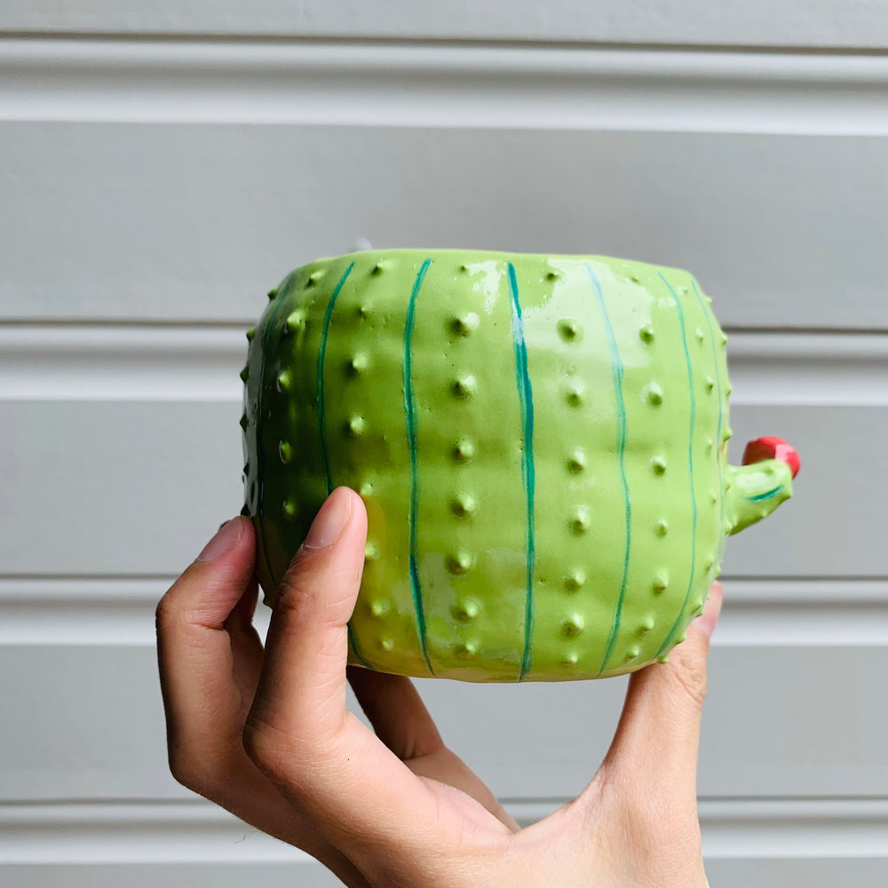 Flowery cactus pot, photo 3 of 8
