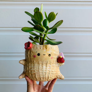 Peanut Peanut with Pink Galah Friend pot