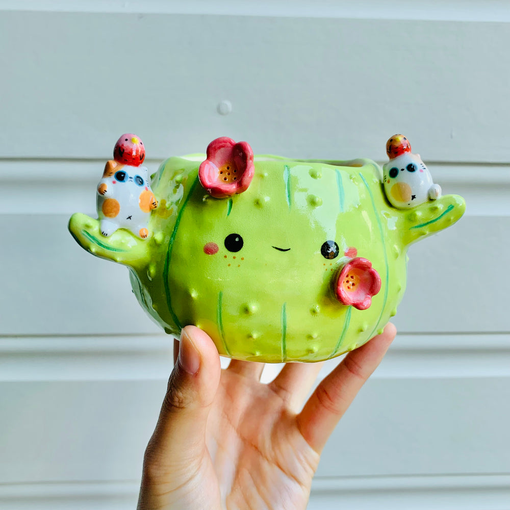 Flowery cactus pot with cat and bird friends, photo 1 of 8