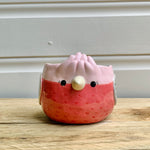 Pink Galah Pot