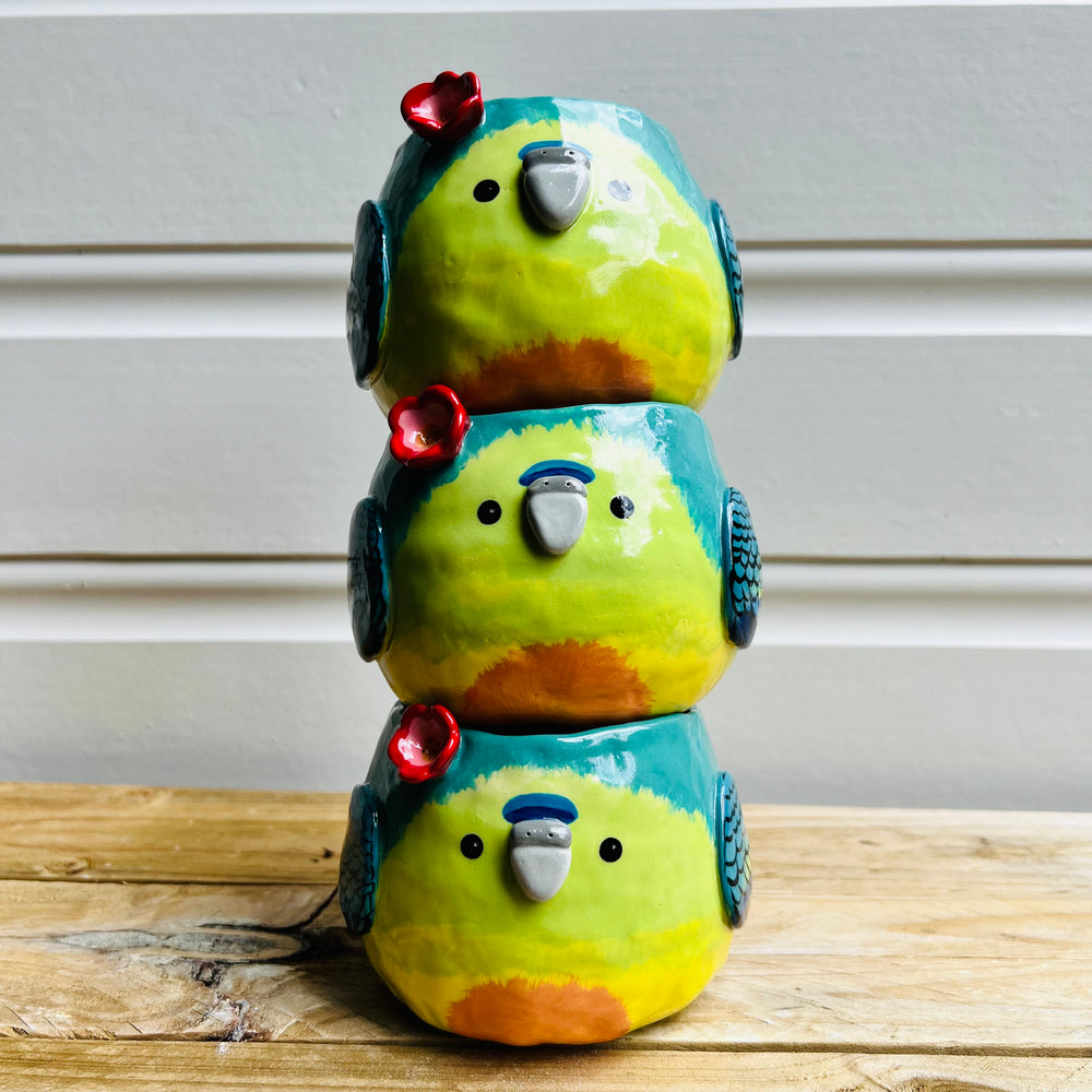 Orange Bellied parrot pot, photo 10 of 11