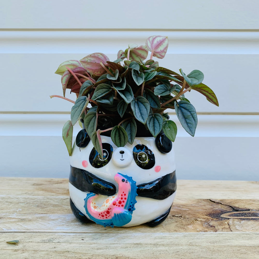 Big panda with seahorse friend planter, photo 2 of 8