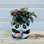 Big panda with seahorse friend planter