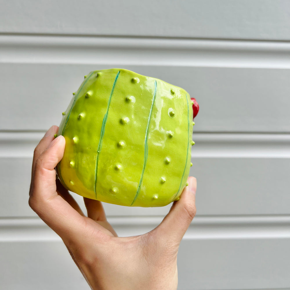 Flowery cactus pot, photo 6 of 6