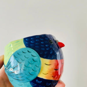 Rainbow lorikeet pot