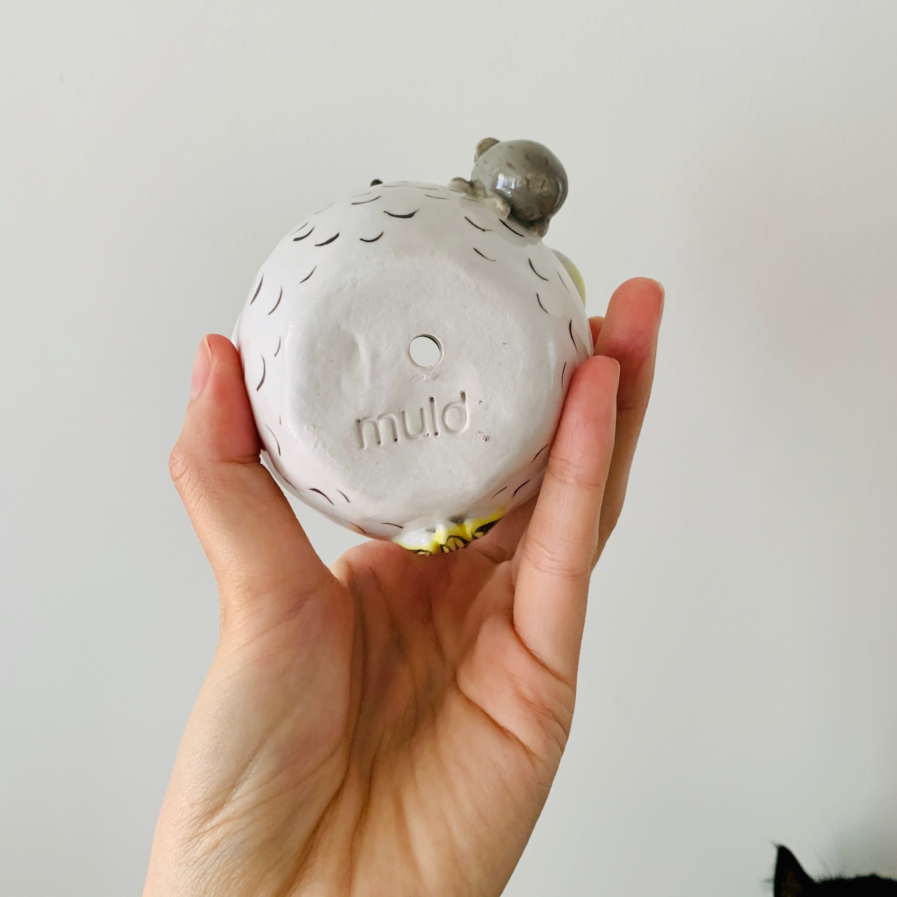 Cockatoo with koala friend pot