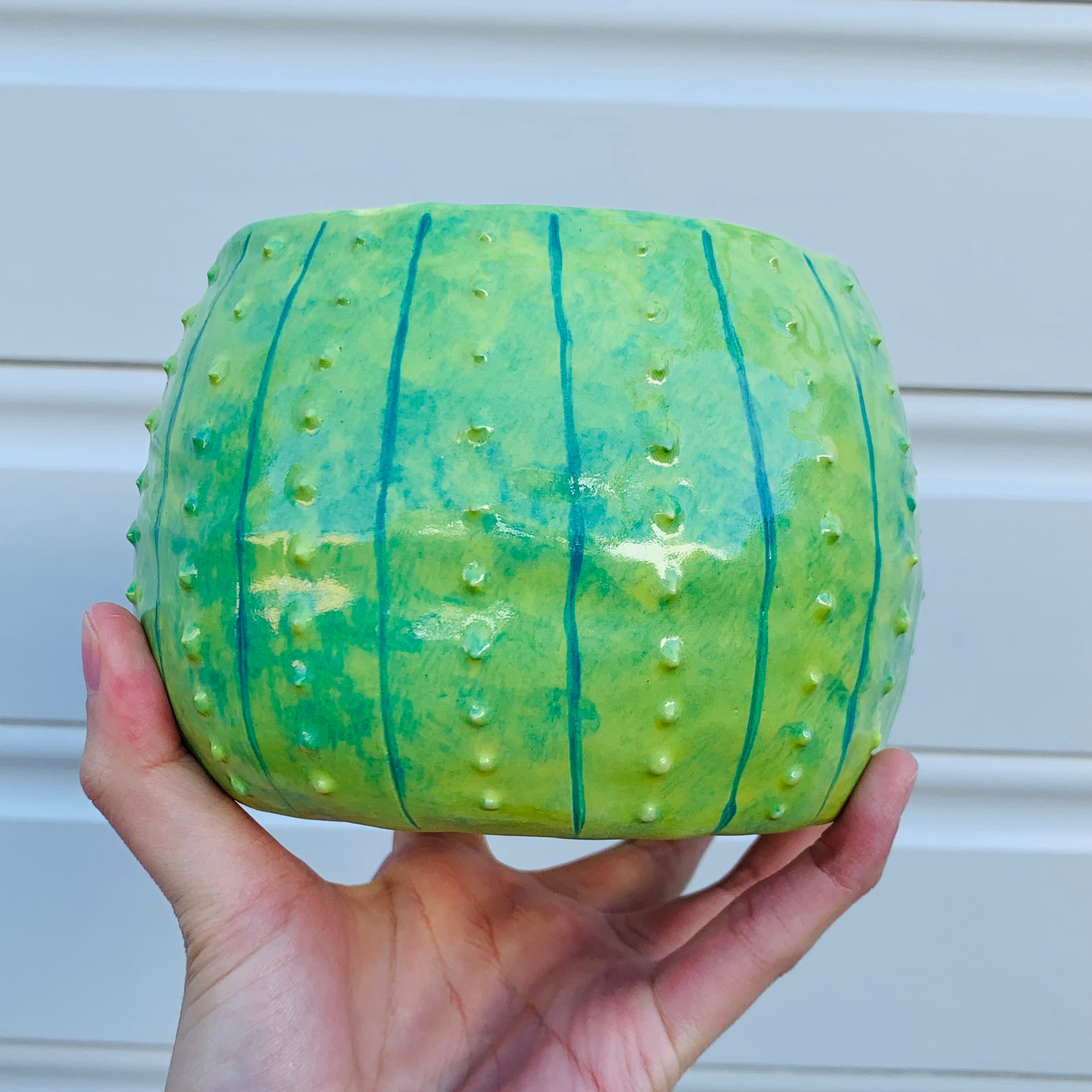 Dark green flowery cactus with bubble tea friend planter