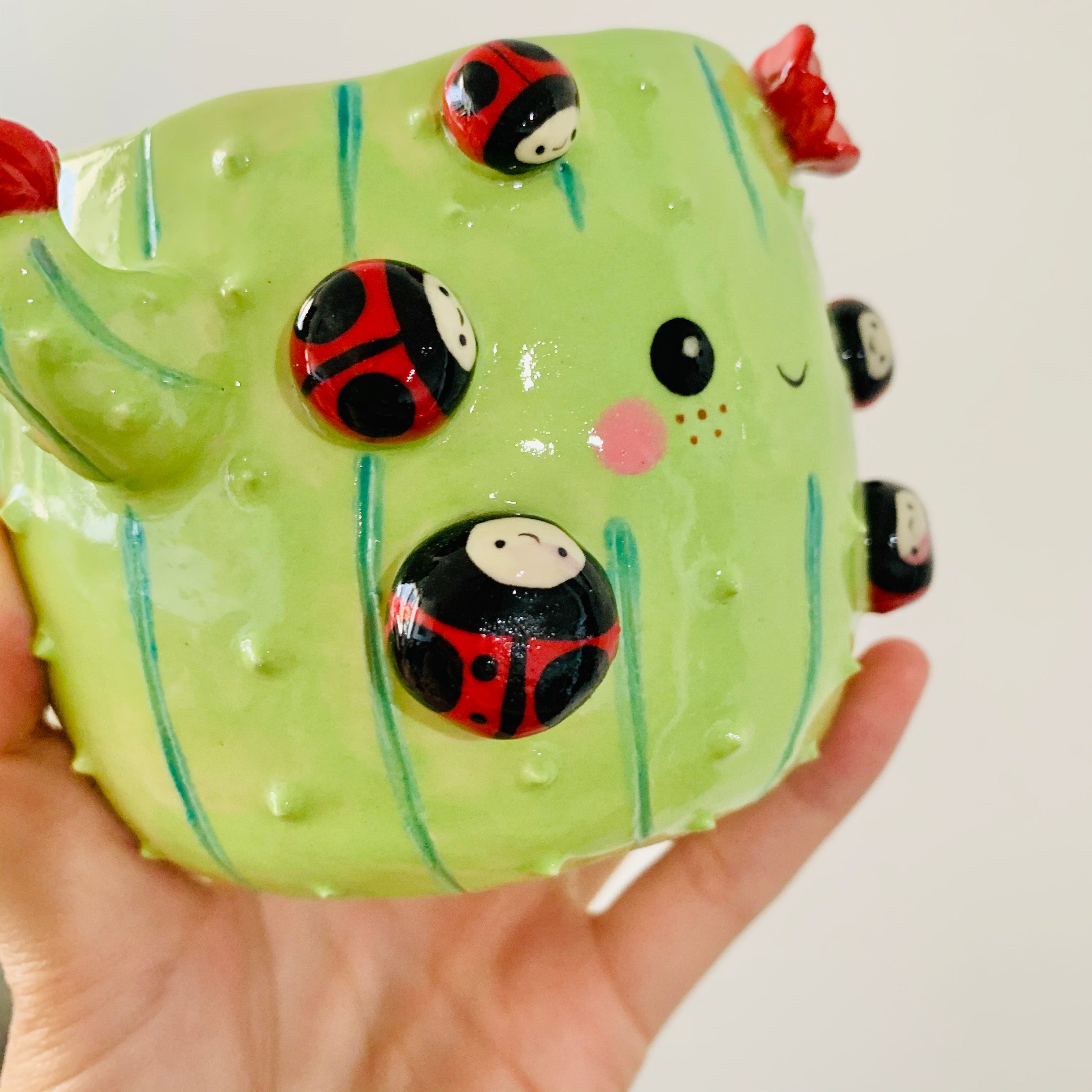 Flowery cactus pot with lady bug friends