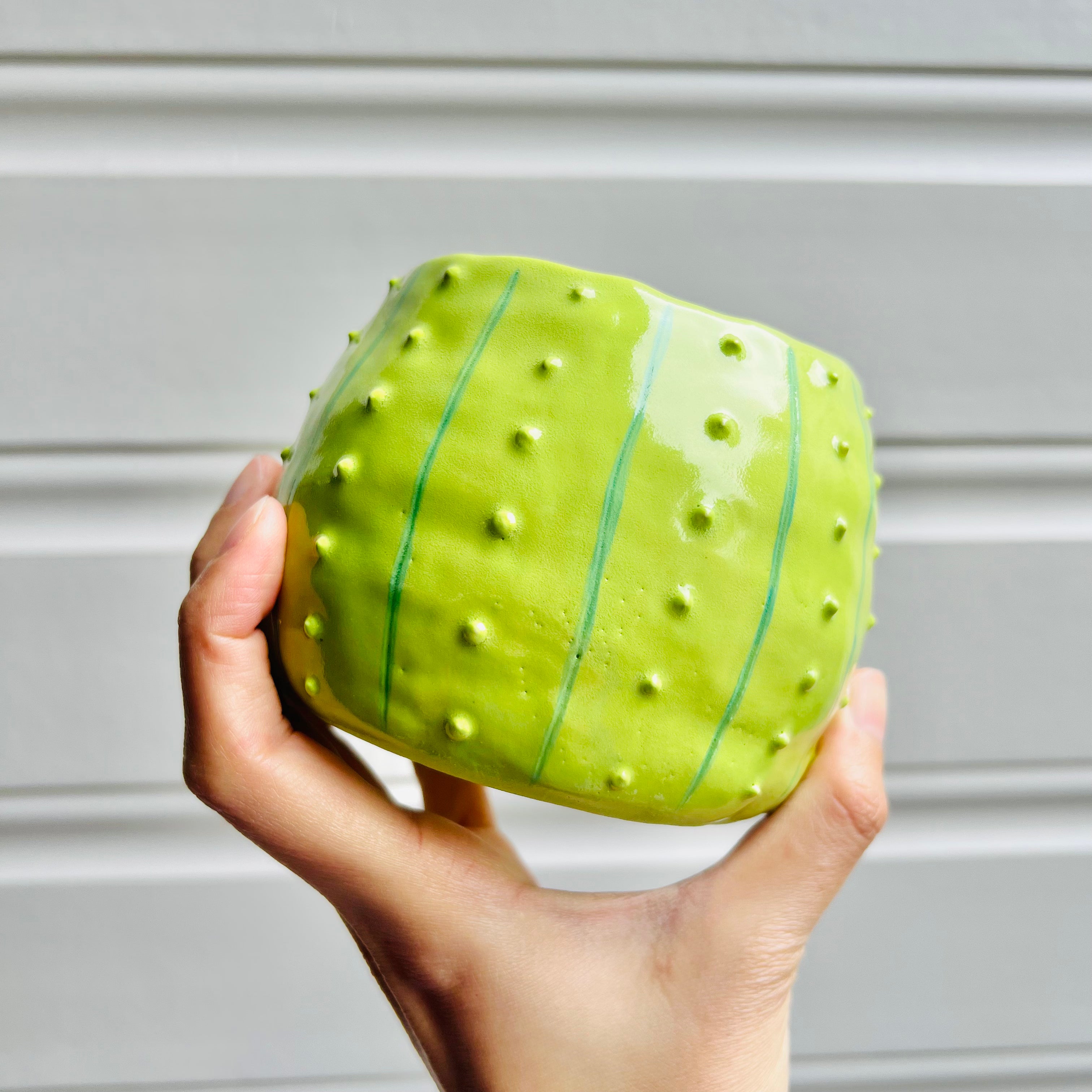 Flowery cactus pot with mug friend