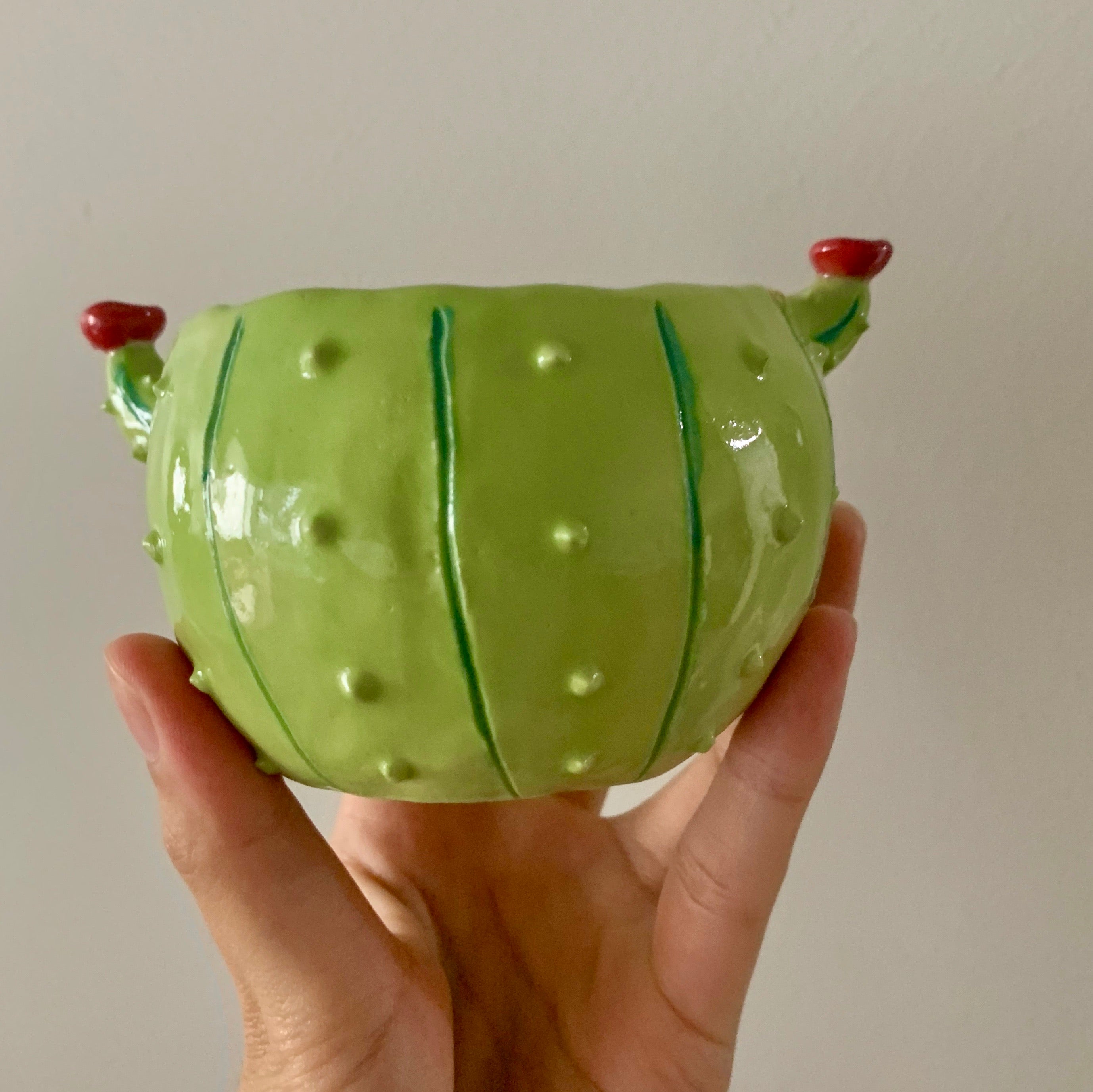 Flowery cactus pot