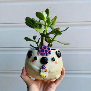 Bath time Puggo with Cat friend pot