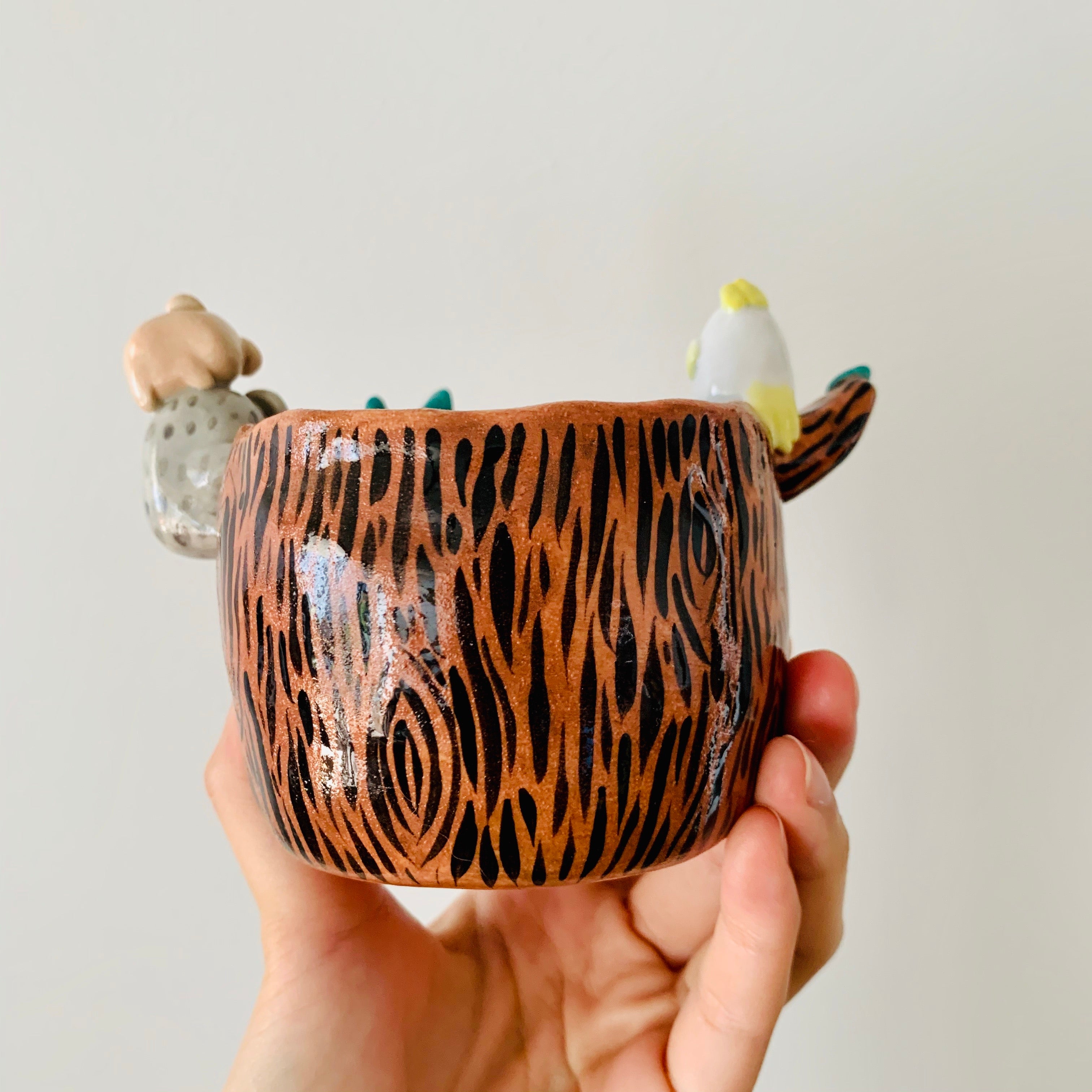 ‘Aussie Hope’ pot