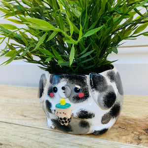 Spotty doggo with bubble tea friend planter