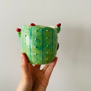 Flowery cactus pot with koala friend