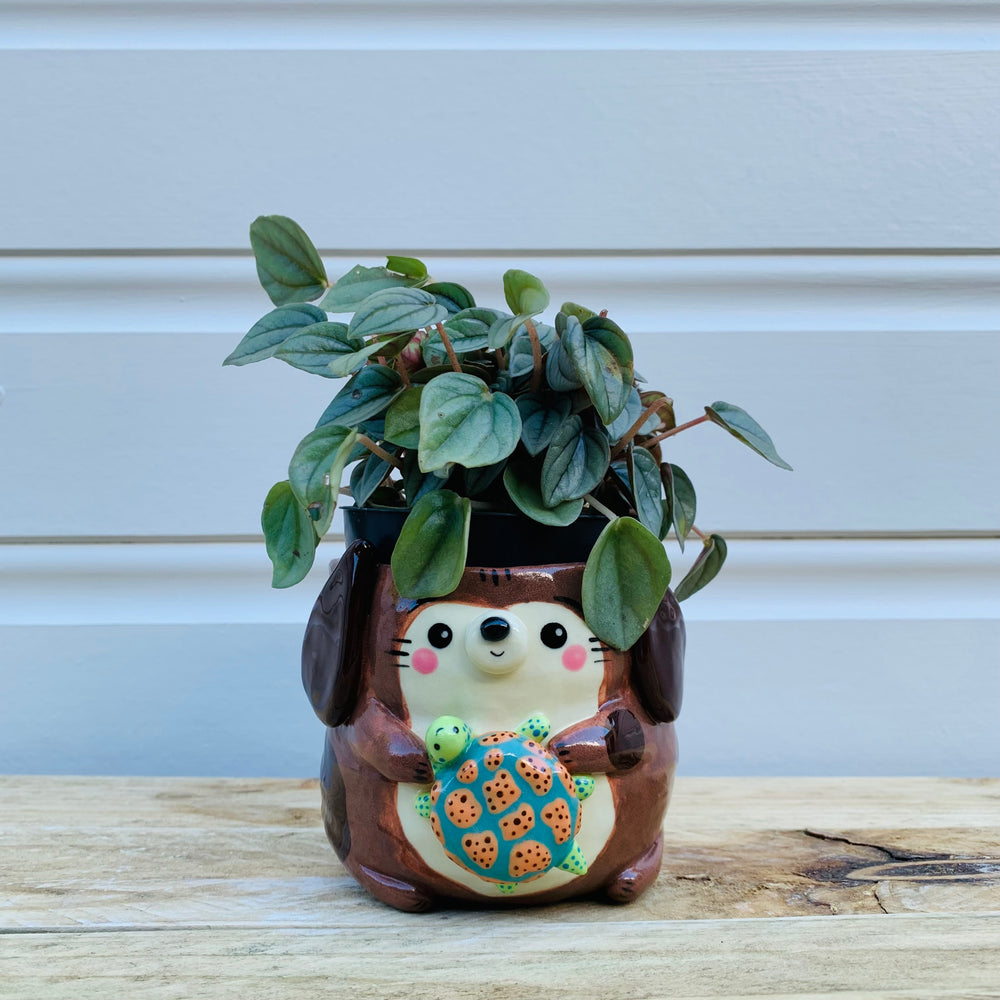 Big doggo with turtle friend planter, photo 1 of 10