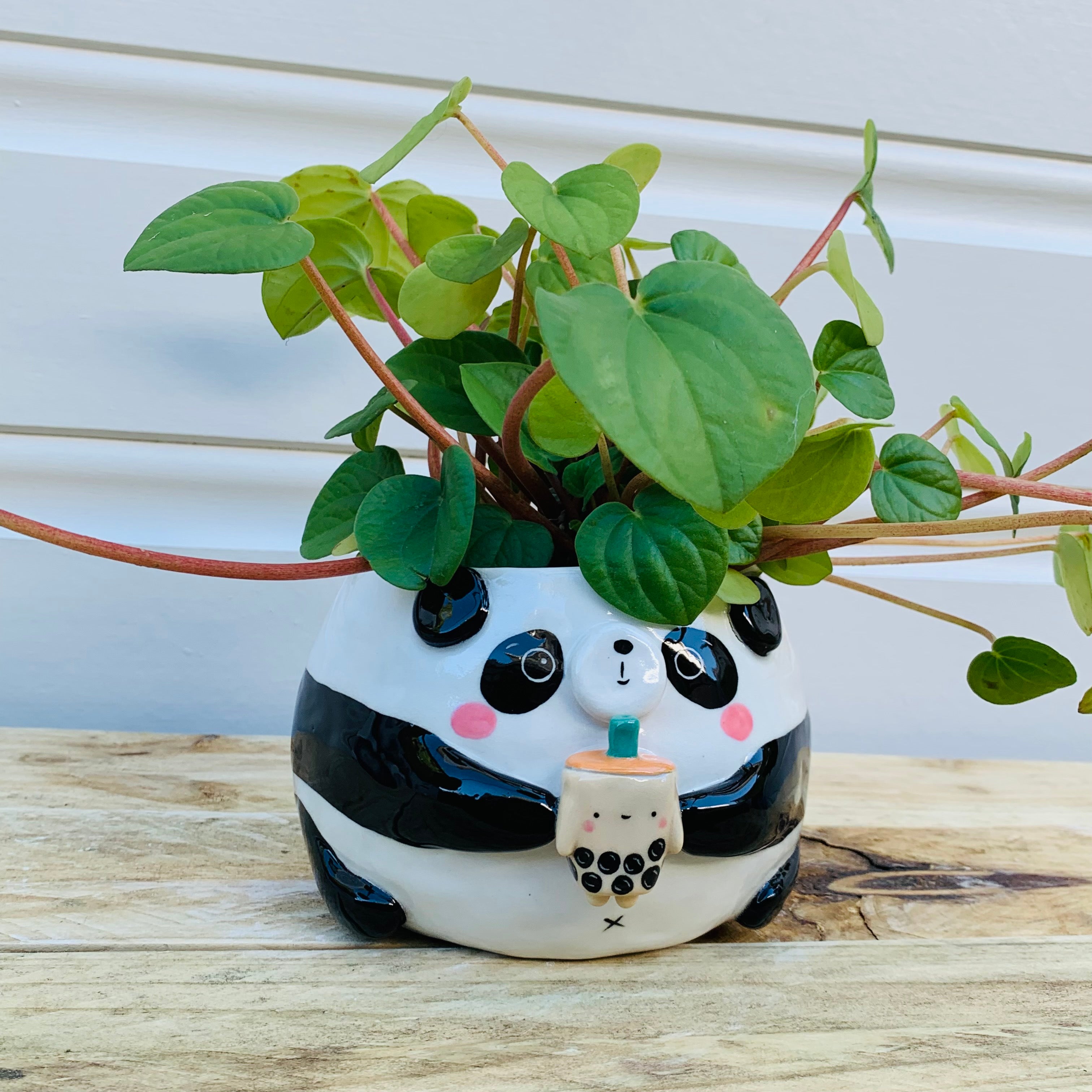 PRE ORDER: Panda with bubble tea planter