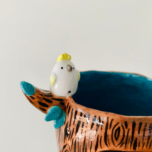 ‘Aussie Hope’ pot
