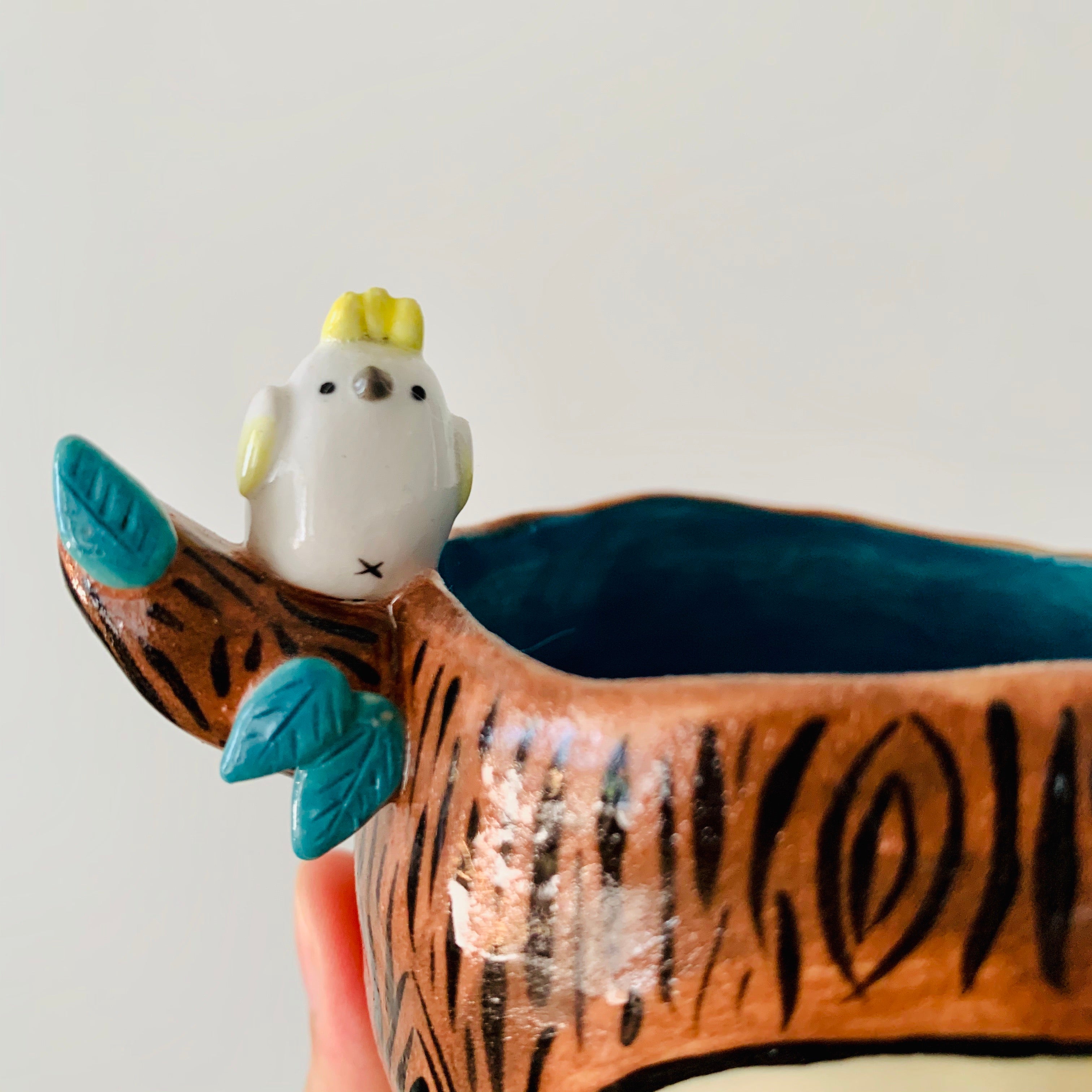 ‘Aussie Hope’ pot