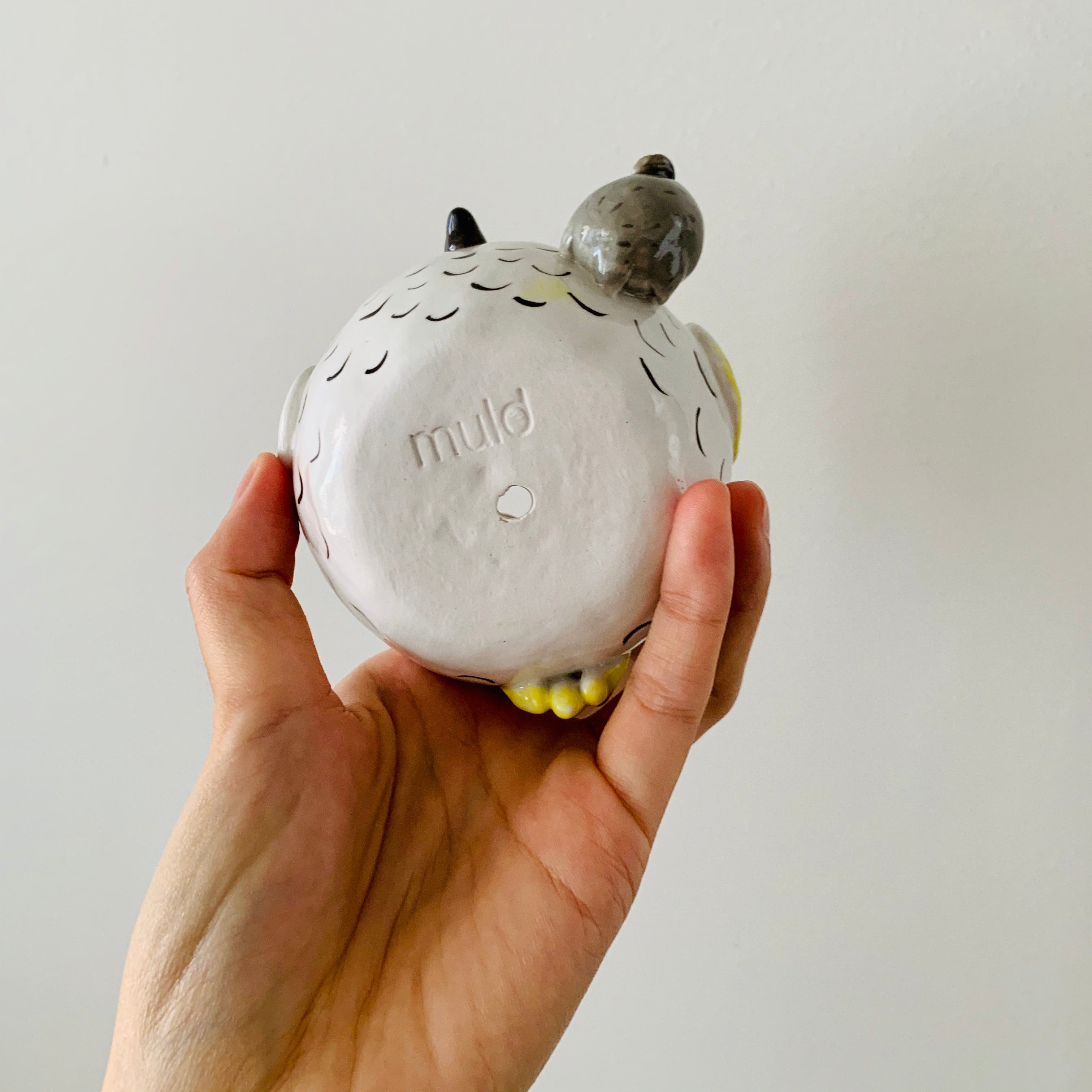 Cockatoo with koala friend pot