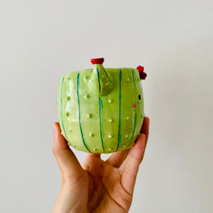 Flowery cactus pot