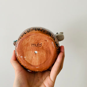 ‘Aussie Hope’ pot