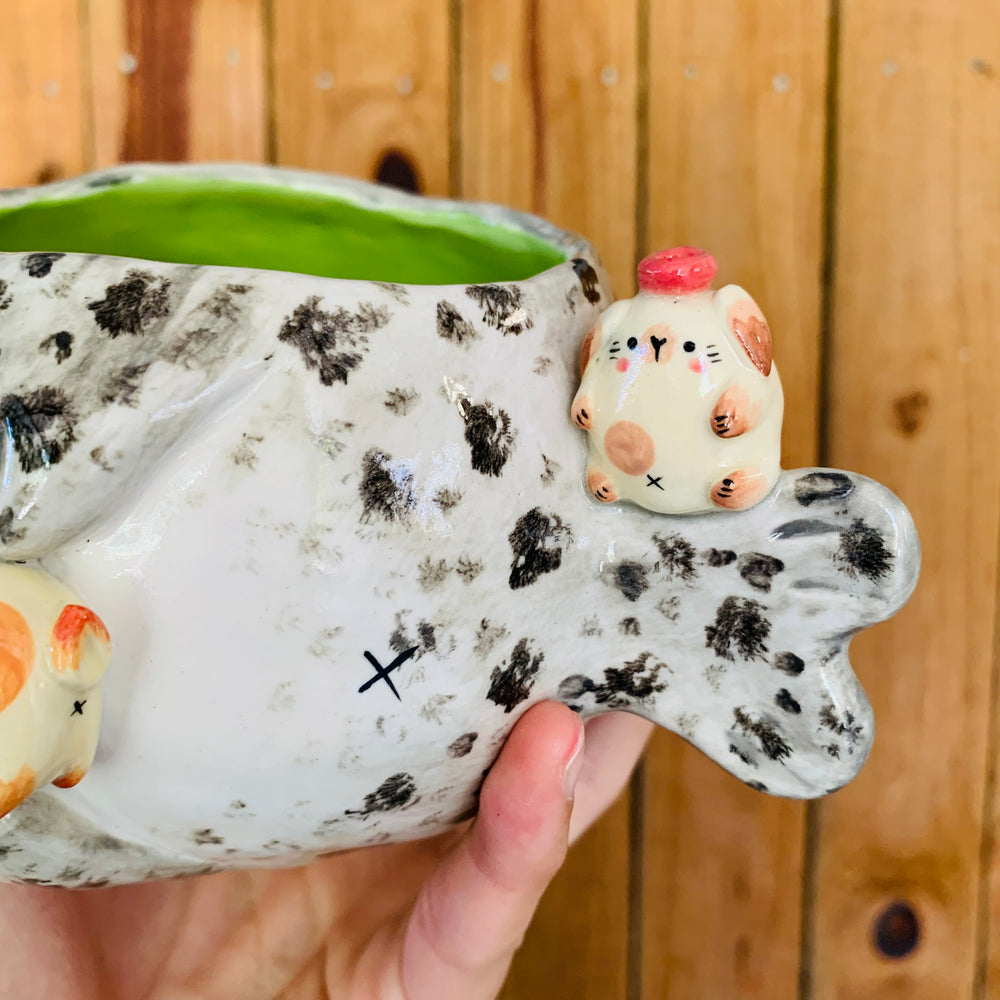 Chubby spotted seal with bunny friends pot, photo 7 of 7