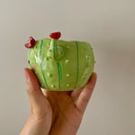 Flowery cactus pot