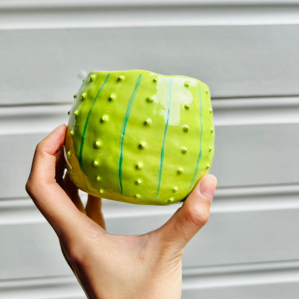 Flowery cactus pot with Totoro friend, photo 4 of 5