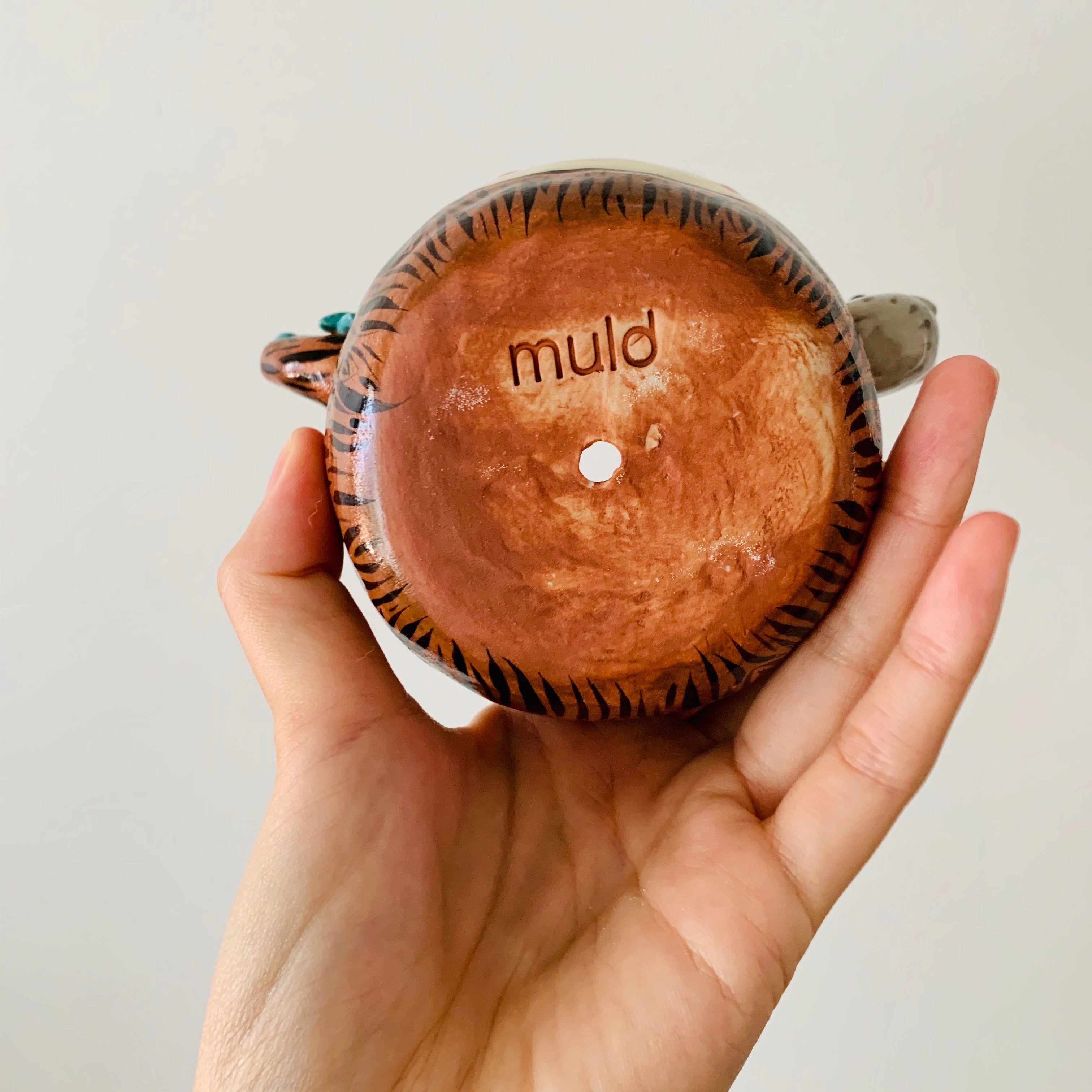 ‘Aussie Hope’ pot