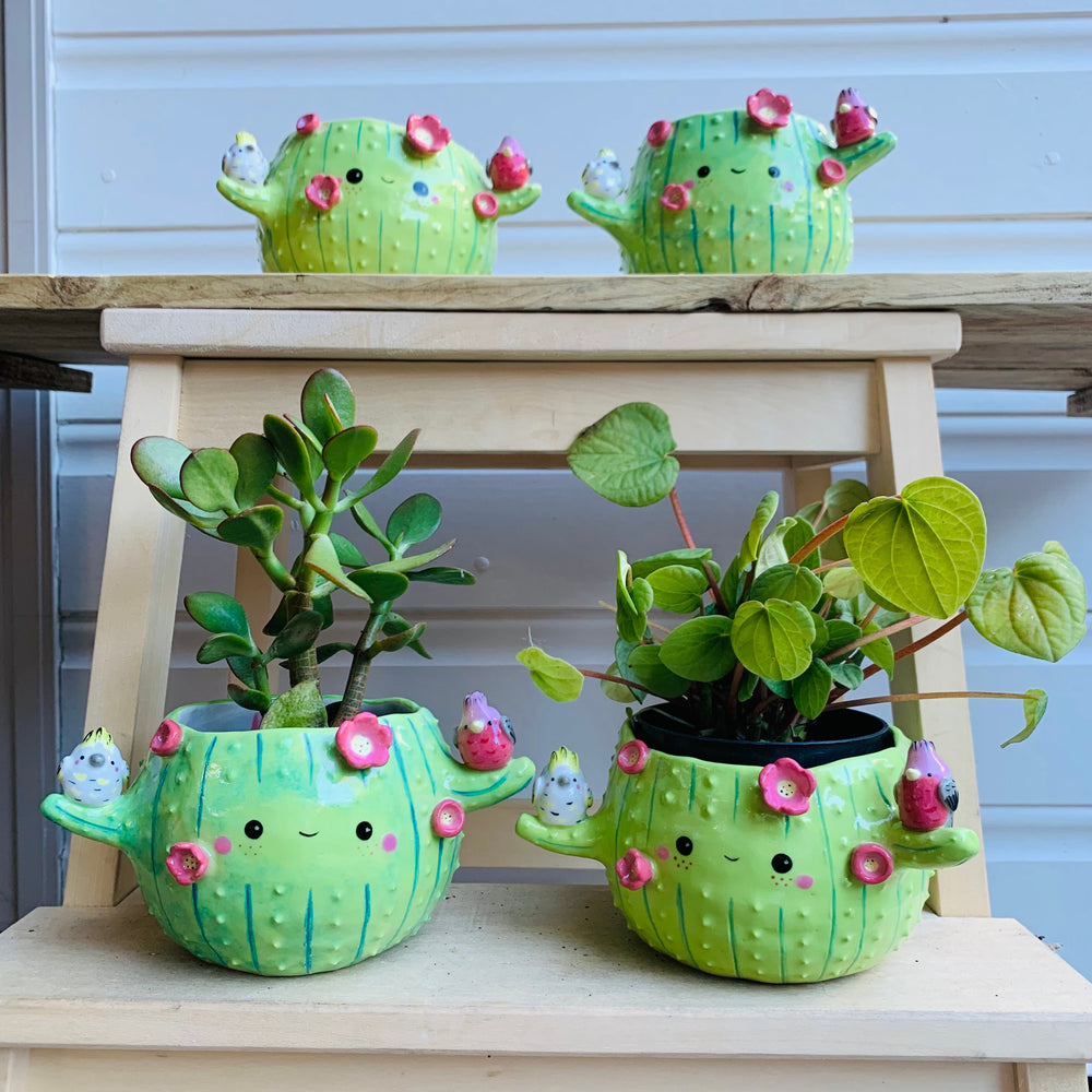 Light green flowery cactus pot with Aussie bird friends, photo 8 of 8