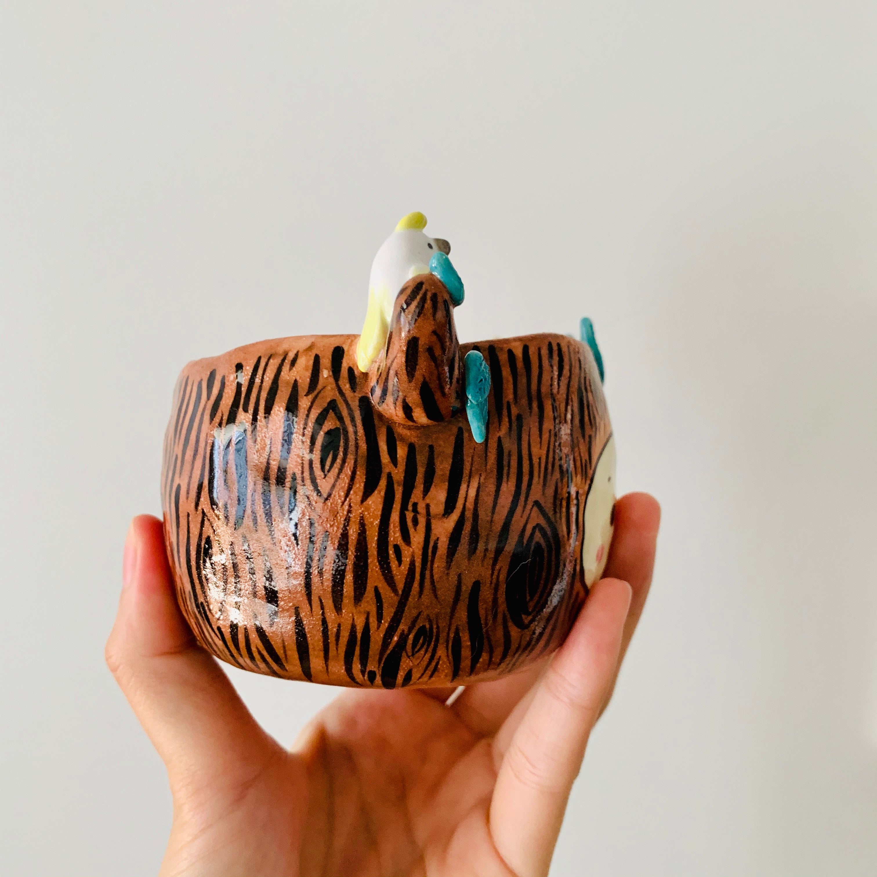‘Aussie Hope’ pot