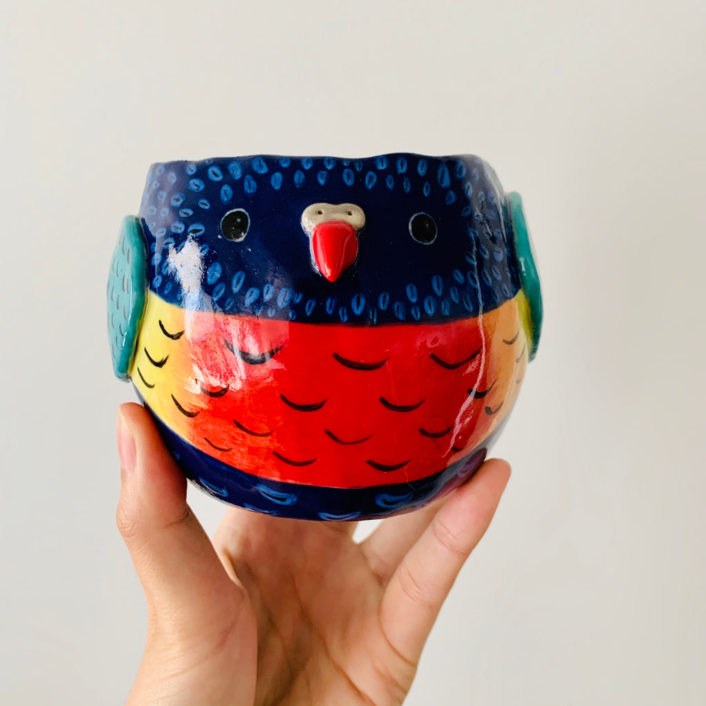 Rainbow lorikeet pot