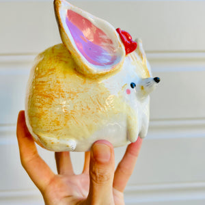 Fennec fox pot