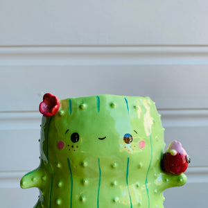 Peanut Cactus with Pink Galah Friend pot